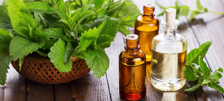 Pure Natural Mint Oils